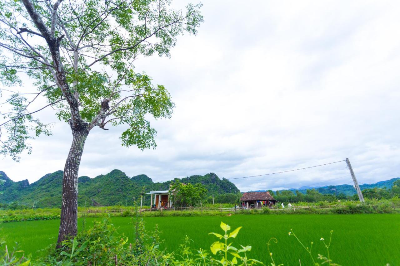 Pomelo Homestay 峰牙 外观 照片