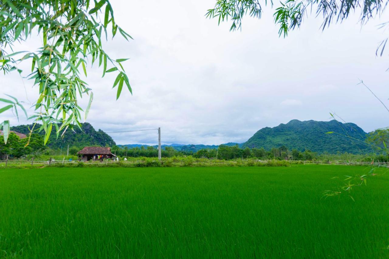 Pomelo Homestay 峰牙 外观 照片